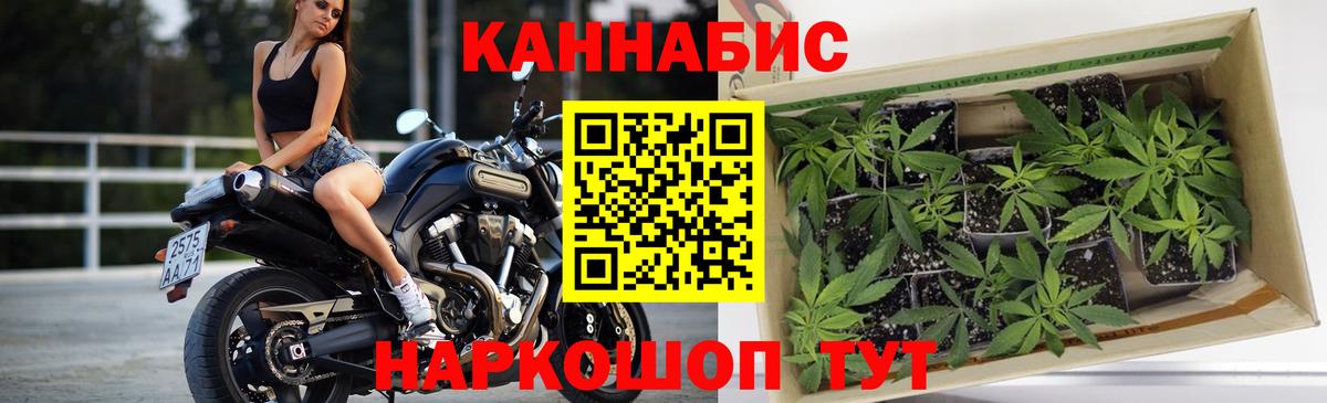 Отрадное  Конопля тримм  Марихуана THC 21%  Вход с VPN  Бошки марихуана Bruce Banner 